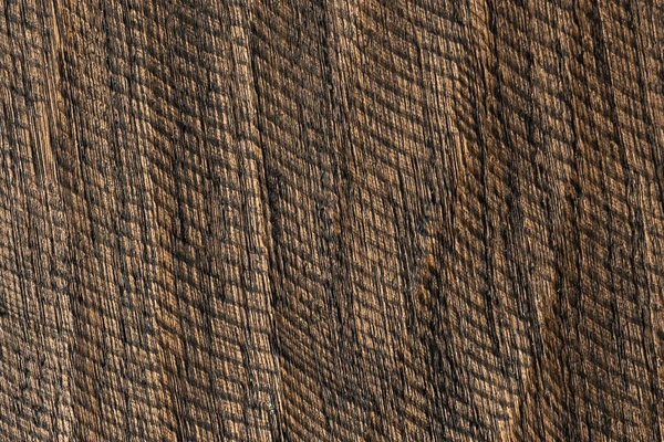 Ra&scaron;plov&aacute;n&iacute;